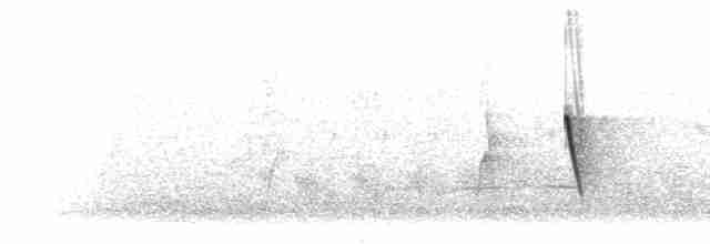 Інкавець сірий - ML297145