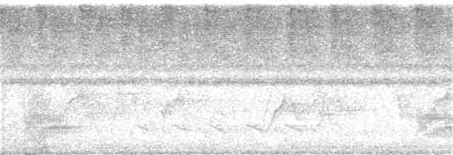 Пурпурногорлая эуфония - ML297164081