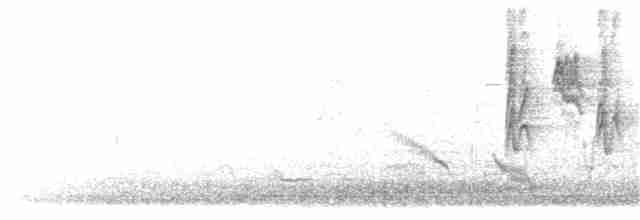 Гамбагская мухоловка - ML297255511