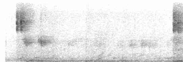 Arctic Warbler - ML297308501