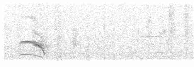 Palawan Striped-Babbler - ML29731281