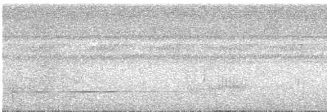 Antriade roussâtre - ML297342591