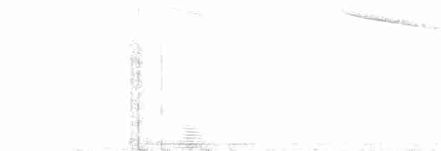 Kestane Sırtlı Tangara - ML297363421