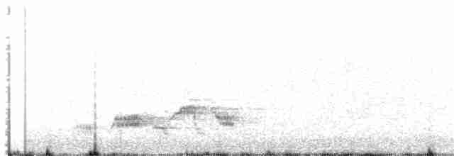 Дрізд-короткодзьоб Cвенсона - ML29738881