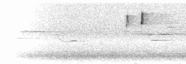Alev Suratlı Tangara - ML297421