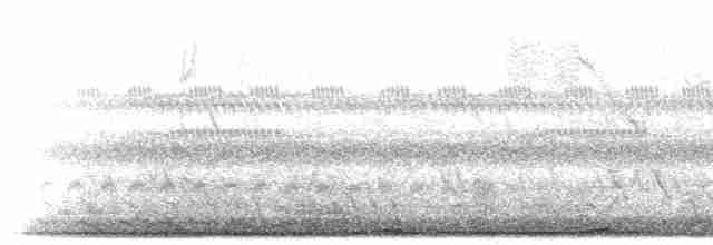 Карликовая земляная горлица - ML297541
