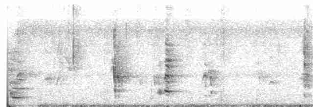 פנינית הקסדה (פליטת תרבות) - ML297554901