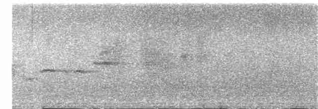 Buff-chested Babbler - ML297590191