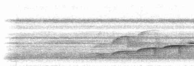 Trepatroncos Oliváceo (grupo griseicapillus) - ML297616