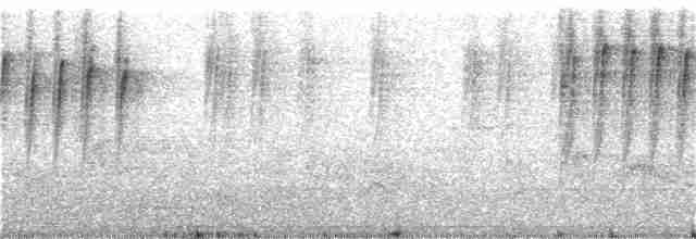 Suimanga de Gould (dabryii) - ML297617051