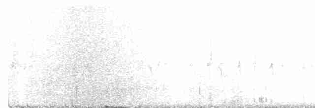 "Шишкар ялиновий (Northeastern, або тип 12)" - ML297617441