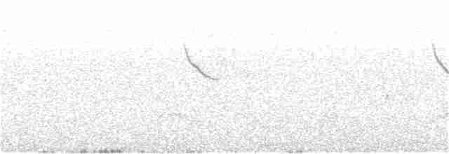 Бурая питтовая муравьеловка - ML297621161