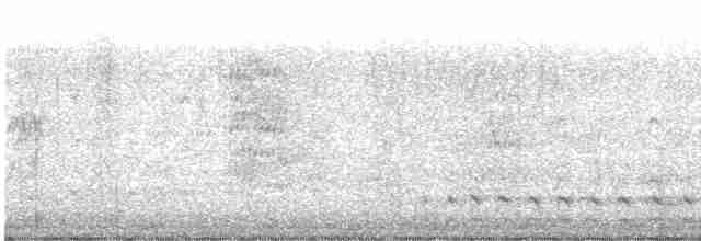 Common Gallinule - ML297637121