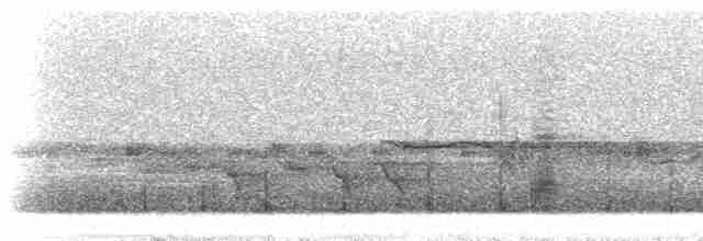 Kestane Taçlı Kotinga - ML297674