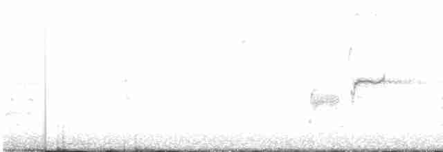 Loggerhead Shrike - ML297708291