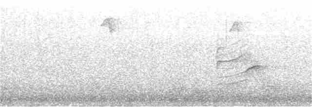 Polarbirkenzeisig (exilipes) - ML297763081