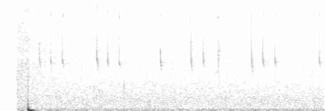 White-eared Hummingbird - ML297778521