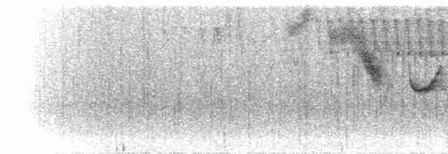 Arduvaz Çalı Serçesi - ML298001