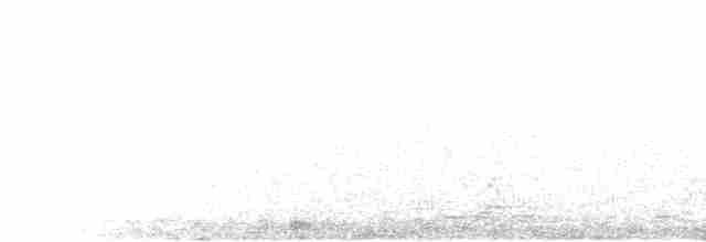 Андская лысуха - ML298086