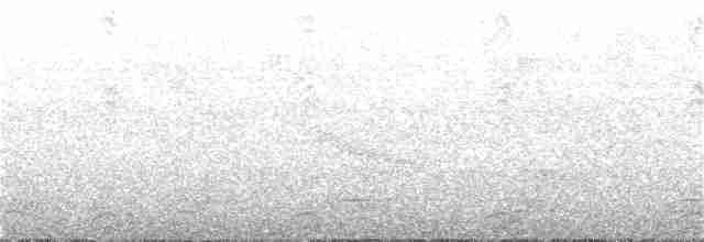 arassari rudokostřečný - ML298096661