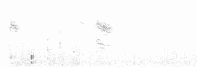 Boreal Chickadee - ML298112491
