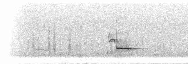 Чирянка жовтодзьоба - ML298131