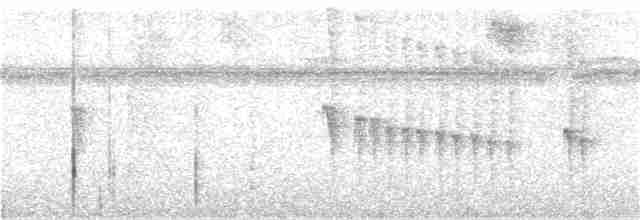 Белогузый колибри - ML298163561