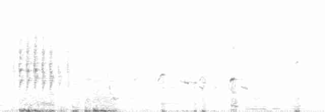 Рыжехвостая мухоловка - ML298165601