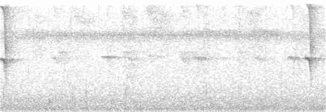 Белогузый колибри - ML298170241