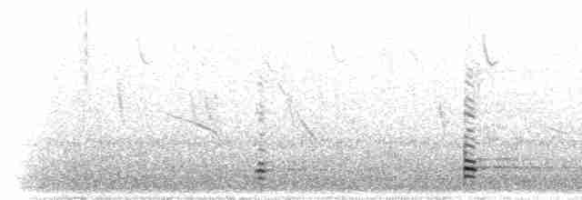 ibis šedokřídlý - ML298381