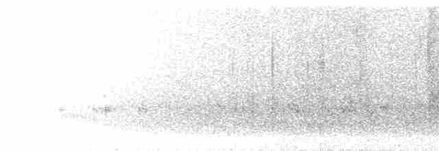 Eye-ringed Thistletail - ML298426