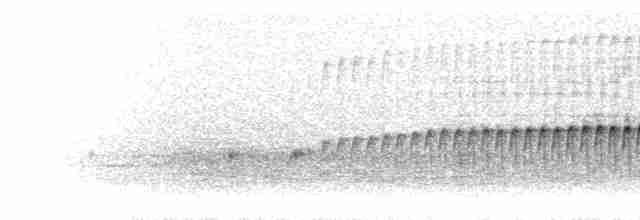 Eye-ringed Thistletail - ML298427