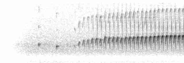 Eye-ringed Thistletail - ML298429