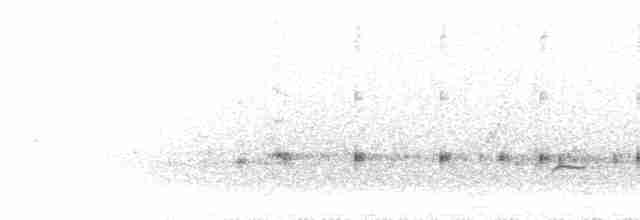 Eye-ringed Thistletail - ML298430