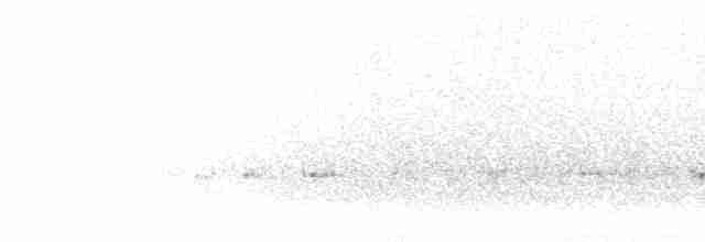 Eye-ringed Thistletail - ML298433