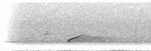 Землекоп темнокрилий - ML298435