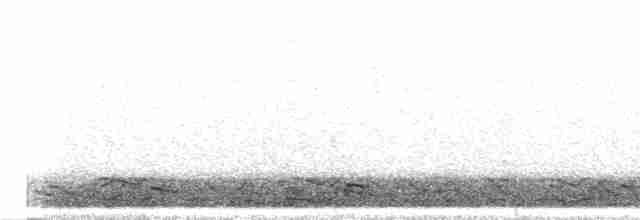 Puna Tinamou - ML298460