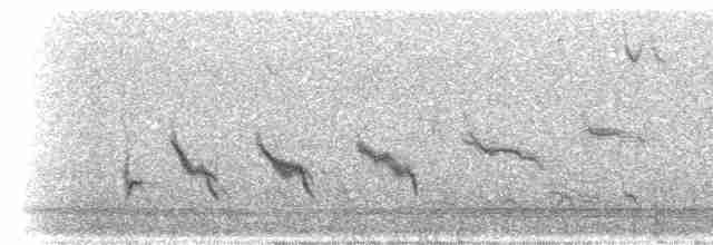 Long-tailed Mockingbird - ML298495