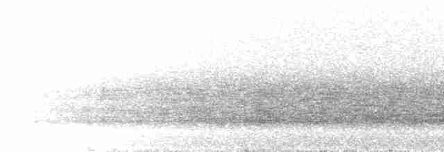 Schwalbenschwanz-Nachtschwalbe - ML298516