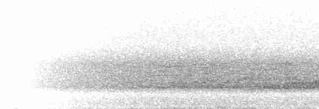 Swallow-tailed Nightjar - ML298517