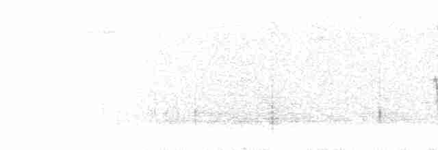 Puna Thistletail - ML298535