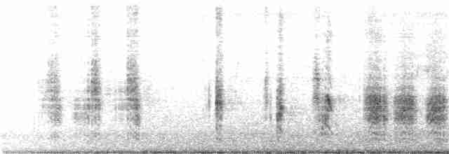 Oriental Reed Warbler - ML298541541