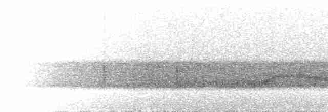 Schwalbenschwanz-Nachtschwalbe - ML298553