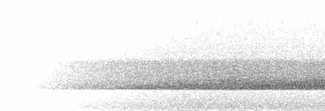 Schwalbenschwanz-Nachtschwalbe - ML298554