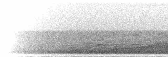 Schwalbenschwanz-Nachtschwalbe - ML298555