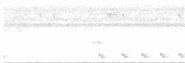 Andamanennachtschwalbe - ML298570711