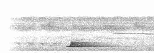 Black-capped Tinamou - ML298607