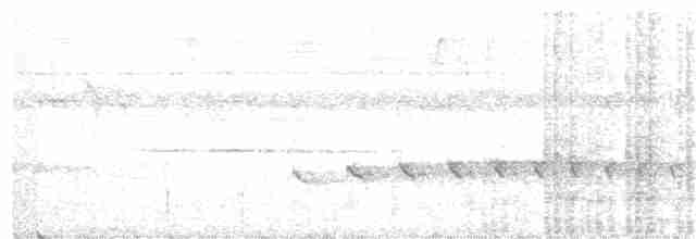 karančo jižní (ssp. cheriway) - ML298654971