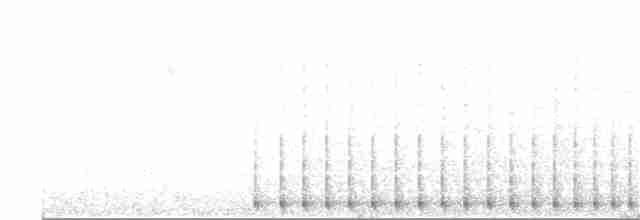 アメリカミユビゲラ（dorsalis） - ML29873581