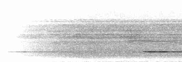 Tinamou de Bartlett - ML298849